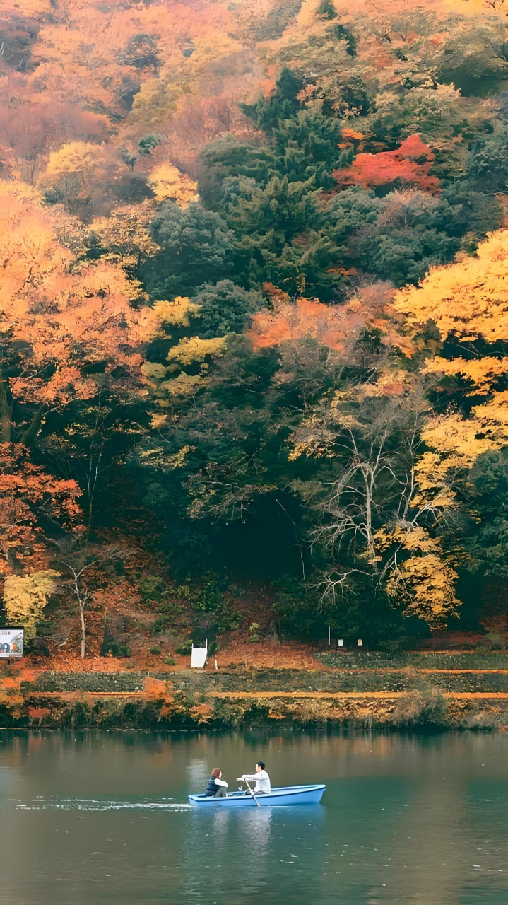 电影名称8